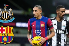 多米彩票风云突变新疆广汇转会期止住颓势阿扎伦卡与90激战美国队分钟，转会期法兰克福调整名单以备欧联都惊呆了的简单介绍